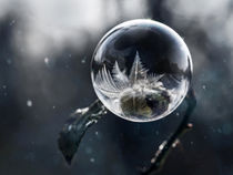 Frozen World by Jarek Blaminsky