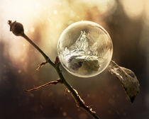 Frozen sphere by Jarek Blaminsky