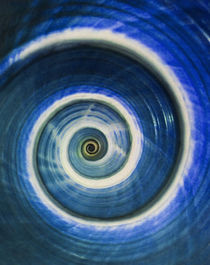 Blue spiral shell by Jarek Blaminsky