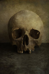 Still life with male skull by Jarek Blaminsky
