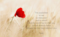 The possibilities by Frank Kiesel