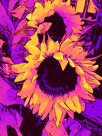 Blumen Poster Funky-SunFlowers von WelikeFlowers.de von Robert H. Biedermann