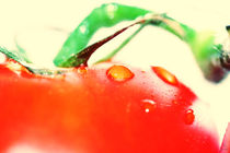 Tomate von Stefanie Heßling