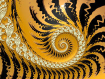 Attractive Gold Spiral by Elisabeth  Lucas