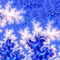 Blue-fractal-corals