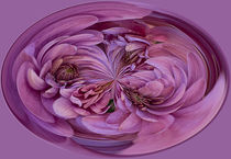 Pink Flower Orb by Elisabeth  Lucas