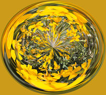 Yellow Flower Orb by Elisabeth  Lucas