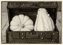 Sepia Gourds by Elisabeth  Lucas