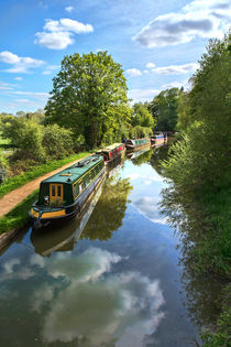 The Oxford Canal von Ian Lewis