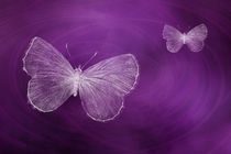 Delicate Butterflies Purple by Elisabeth  Lucas