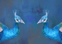 Peacock Love von Elisabeth  Lucas