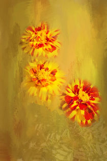 Pretty Marigolds by Elisabeth  Lucas