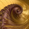 Vanilla-and-chocolate-spiral