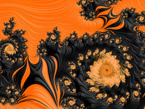 Black and Orange Swirls by Elisabeth  Lucas