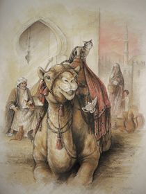 Kamel mit Katze von Jonathan Petry