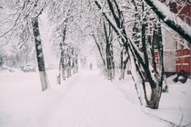 Winter street by Dmitry Gavrikov