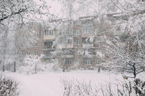 Frozen panel house von Dmitry Gavrikov