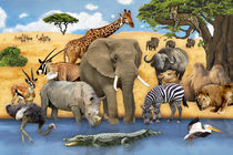 Wimmelbild_Tiere in Afrika by Marion Krätschmer