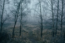Early foggy morning von Dmitry Gavrikov