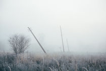 Early foggy morning by Dmitry Gavrikov