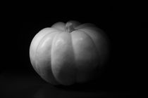 Silver White Pumpkin by Elisabeth  Lucas
