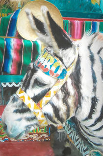 Tijuana Zebra Donkey by Elisabeth  Lucas