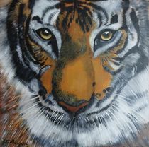 Tigergesicht by theresa-digitalkunst