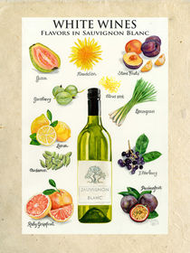 White Wines - Flavors in Sauvignon Blanc by Colette van der Wal
