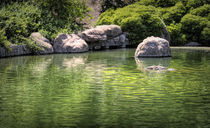 Pretty Green Lake von Elisabeth  Lucas