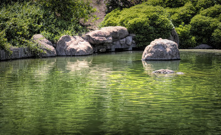 Pretty-green-lake
