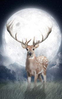 Midnight Deer by Marco Peters