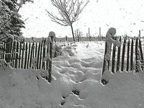 Winterimpressionen Baden Württemberg von wokli