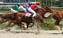 Horse race by Mikhail  Pogosov