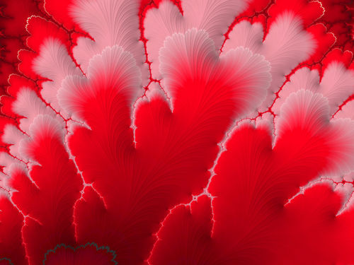 Red-feather