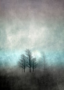 NOVEMBER FOREST COLORED MOODY by Pia Schneider