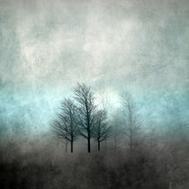 NOVEMBER FOREST COLORED MOODY-A by Pia Schneider