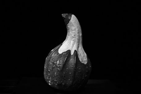 Bicolored-gourd