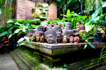 Buddha sculpture garden  von Felix Van Zyl