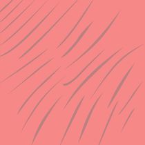 simple design lines, pink by Jana Guothova