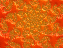 Bright Orange Spiral by Elisabeth  Lucas