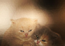 kittens Love by Looly Elzayat