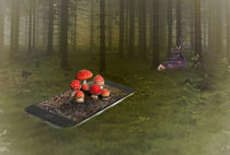 Smartphone-Manipulation - Herbstlicher Wald von Ursula Di Chito