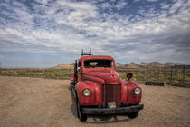 Arizona Fire Truck von Elisabeth  Lucas