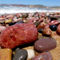 'Colouful Stone beach' von Felix Van Zyl