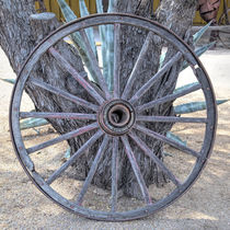 Old Desert Wheel by Elisabeth  Lucas