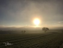 "Nebel-Sonne" von photopoet-wolfram