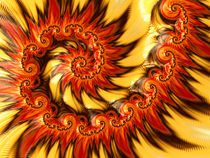 Fascinating Fire Spiral by Elisabeth  Lucas