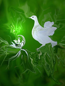 Friedenstaube, dove of peace, Digital Artwork von Dagmar Laimgruber