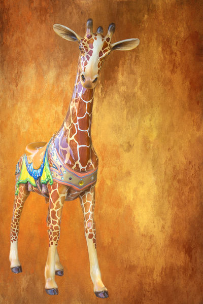 Circus-giraffe