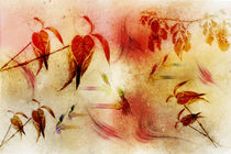 Herbstblätter von Ursula Di Chito